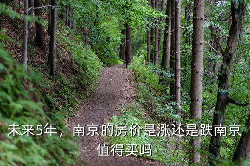 未來5年，南京的房價(jià)是漲還是跌南京值得買嗎