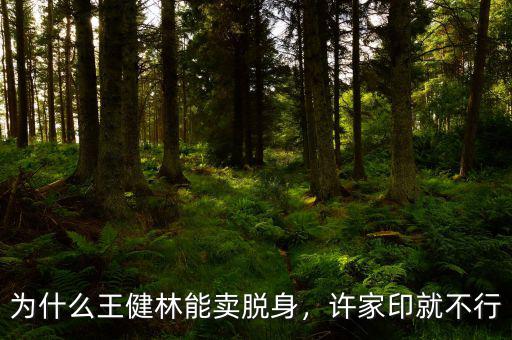 為什么王健林能賣(mài)脫身，許家印就不行