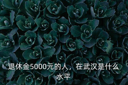 退休金5000元的人，在武漢是什么水平