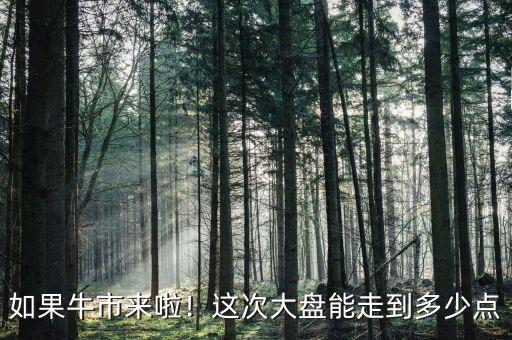 如果牛市來啦！這次大盤能走到多少點(diǎn)
