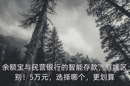 余額寶與民營銀行的智能存款，有啥區(qū)別！5萬元，選擇哪個，更劃算