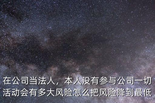 在公司當法人，本人沒有參與公司一切活動會有多大風險怎么把風險降到最低
