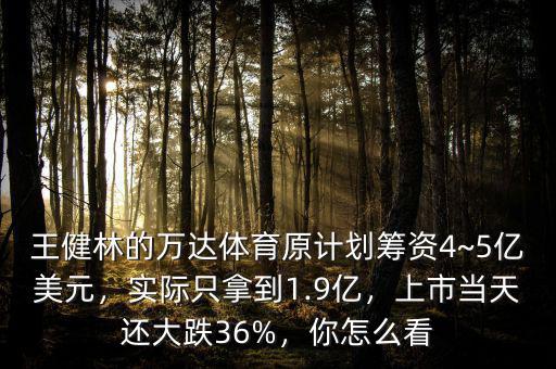 王健林的萬達體育原計劃籌資4~5億美元，實際只拿到1.9億，上市當天還大跌36%，你怎么看
