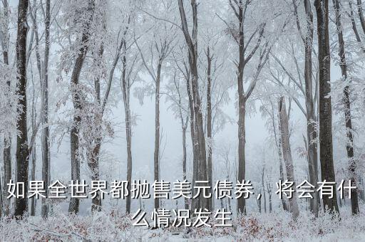 如果全世界都拋售美元債券，將會有什么情況發(fā)生