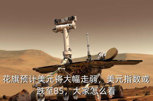 花旗預(yù)計(jì)美元將大幅走弱，美元指數(shù)或跌至85，大家怎么看