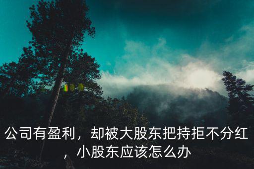 公司有盈利，卻被大股東把持拒不分紅，小股東應(yīng)該怎么辦