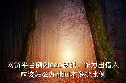 網(wǎng)貸平臺(tái)倒閉ceo被抓，作為出借人應(yīng)該怎么辦能回本多少比例
