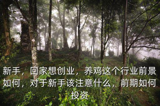 新手，回家想創(chuàng)業(yè)，養(yǎng)雞這個(gè)行業(yè)前景如何，對于新手該注意什么，前期如何投資