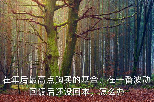 在年后最高點(diǎn)購買的基金，在一番波動(dòng)回調(diào)后還沒回本，怎么辦