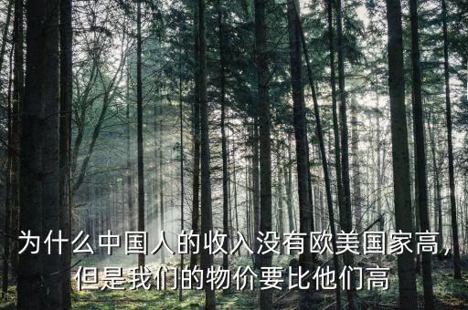 為什么中國人的收入沒有歐美國家高，但是我們的物價要比他們高