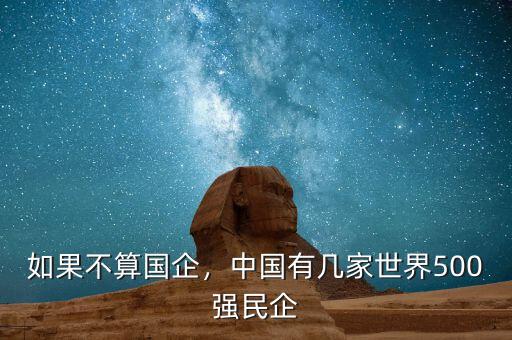 如果不算國(guó)企，中國(guó)有幾家世界500強(qiáng)民企