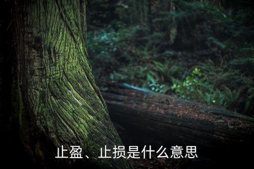 止盈、止損是什么意思