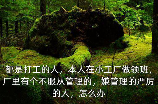 都是打工的人，本人在小工廠做領(lǐng)班，廠里有個(gè)不服從管理的，嫌管理的嚴(yán)厲的人，怎么辦