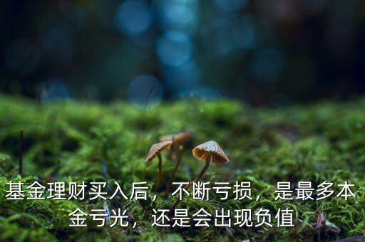 基金理財(cái)買入后，不斷虧損，是最多本金虧光，還是會(huì)出現(xiàn)負(fù)值