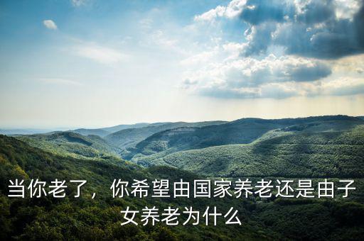 當你老了，你希望由國家養(yǎng)老還是由子女養(yǎng)老為什么