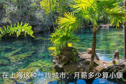 在上海這種一線城市，月薪多少算小康