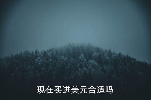 怎么買(mǎi)進(jìn)美元,購(gòu)買(mǎi)美元之后又怎么投資升值