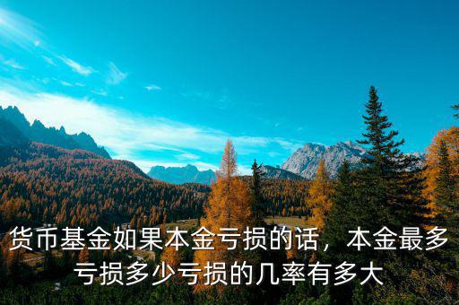 貨幣基金如果本金虧損的話，本金最多虧損多少虧損的幾率有多大