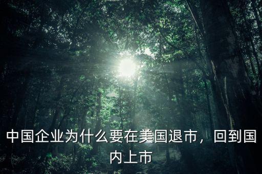 中國企業(yè)為什么要在美國退市，回到國內(nèi)上市