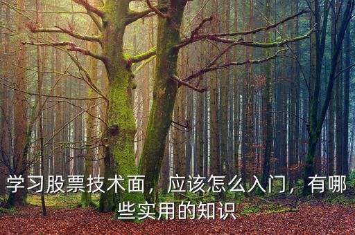 學(xué)習(xí)股票技術(shù)面，應(yīng)該怎么入門，有哪些實用的知識