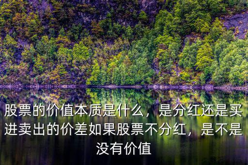 股票的價值本質是什么，是分紅還是買進賣出的價差如果股票不分紅，是不是沒有價值