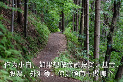 作為小白，如果想做金融投資，基金，股票，外匯等，你更傾向于做哪個