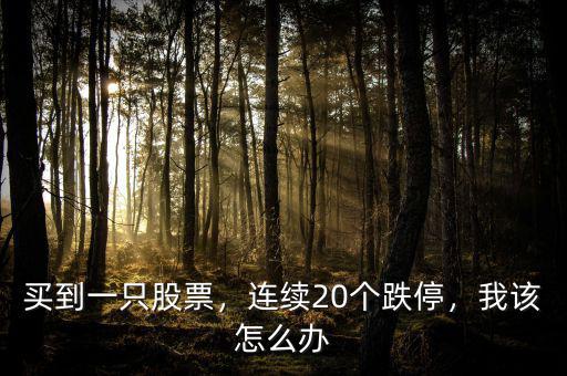 買到一只股票，連續(xù)20個跌停，我該怎么辦