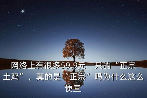 網(wǎng)絡(luò)上有很多59.9元一只的“正宗土雞”，真的是“正宗”嗎為什么這么便宜