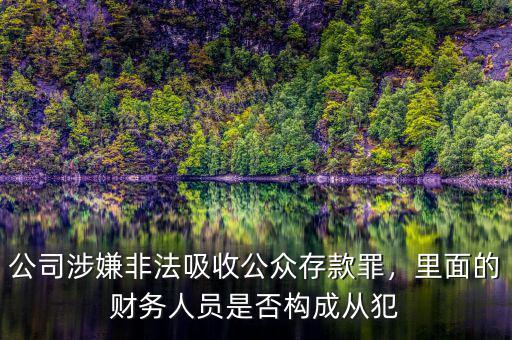 公司涉嫌非法吸收公眾存款罪，里面的財務人員是否構成從犯