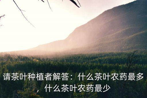 請茶葉種植者解答：什么茶葉農(nóng)藥最多，什么茶葉農(nóng)藥最少