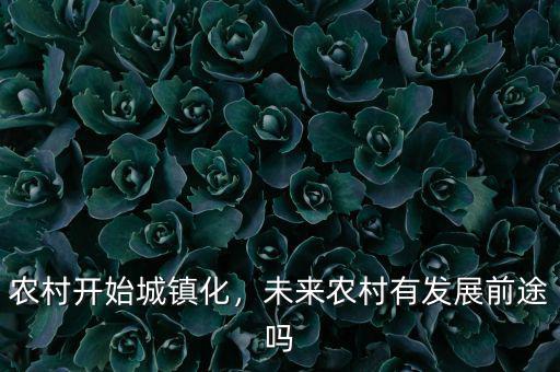 農(nóng)村開始城鎮(zhèn)化，未來農(nóng)村有發(fā)展前途嗎