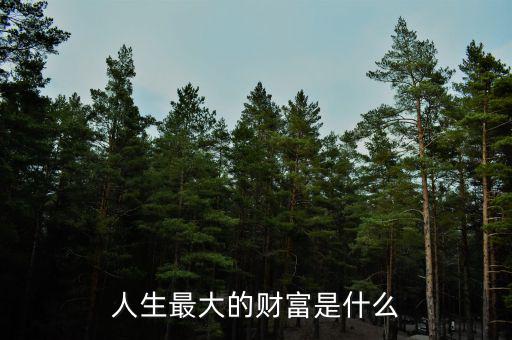 人生最大的財(cái)富是什么
