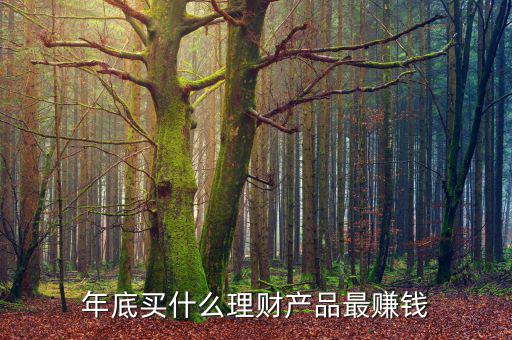 年底買什么理財產(chǎn)品最賺錢