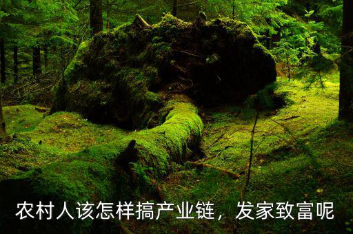 農(nóng)村人該怎樣搞產(chǎn)業(yè)鏈，發(fā)家致富呢