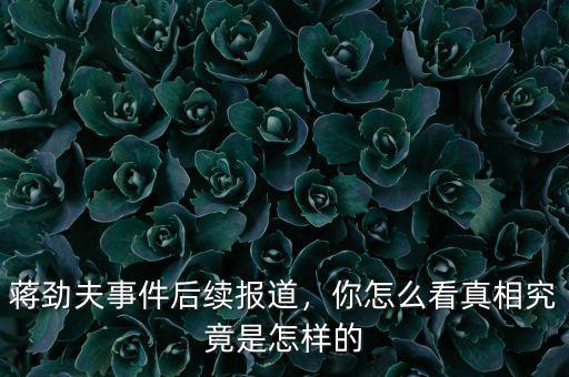 蔣勁夫事件后續(xù)報道，你怎么看真相究竟是怎樣的