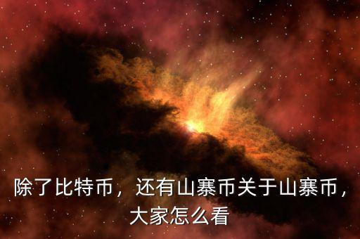 除了比特幣，還有山寨幣關(guān)于山寨幣，大家怎么看