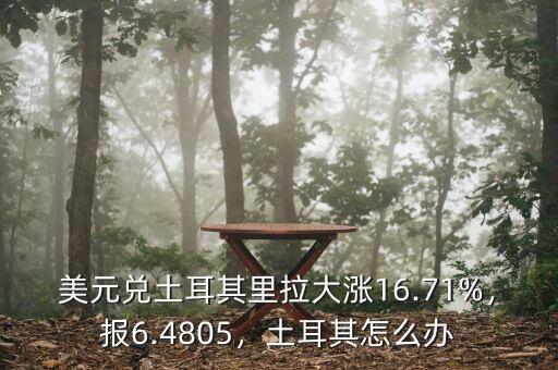 美元兌土耳其里拉大漲16.71%，報(bào)6.4805，土耳其怎么辦