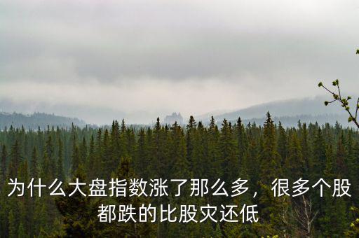 為什么大盤指數(shù)漲了那么多，很多個股都跌的比股災(zāi)還低