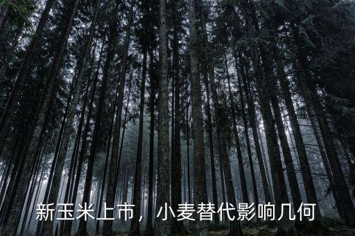 新玉米上市，小麥替代影響幾何