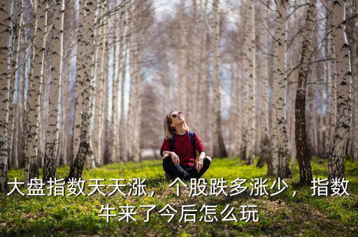 大盤指數(shù)天天漲，個股跌多漲少，指數(shù)牛來了今后怎么玩