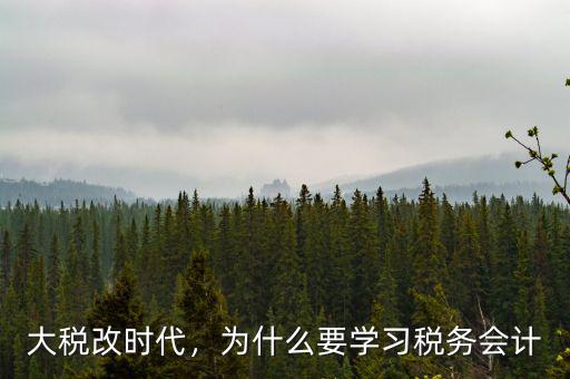 大稅改時(shí)代，為什么要學(xué)習(xí)稅務(wù)會(huì)計(jì)