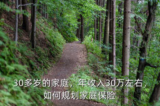 30多歲的家庭，年收入30萬左右，如何規(guī)劃家庭保險(xiǎn)