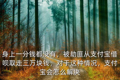 身上一分錢都沒有，被劫匪從支付寶借唄取走三萬塊錢，對于這種情況，支付寶會怎么解決