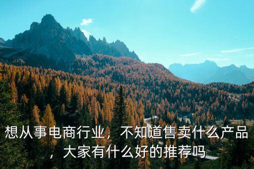 想從事電商行業(yè)，不知道售賣什么產(chǎn)品，大家有什么好的推薦嗎