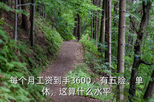 每個月工資到手3600，有五險、單休，這算什么水平