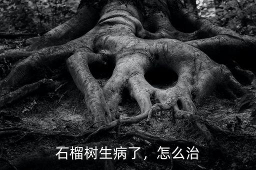 石榴樹(shù)生病了，怎么治