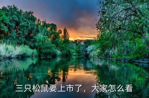 三只松鼠要上市了，大家怎么看