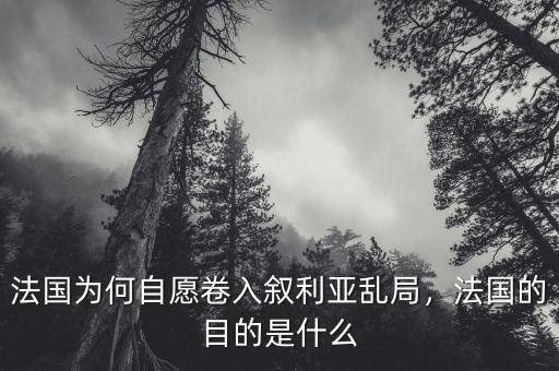 法國(guó)為何自愿卷入敘利亞亂局，法國(guó)的目的是什么