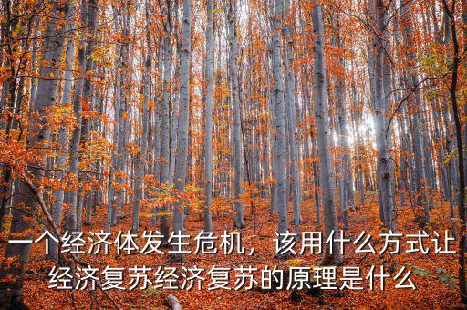 一個經(jīng)濟(jì)體發(fā)生危機(jī)，該用什么方式讓經(jīng)濟(jì)復(fù)蘇經(jīng)濟(jì)復(fù)蘇的原理是什么