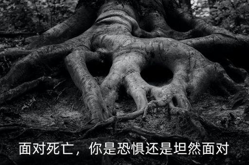 面對(duì)死亡，你是恐懼還是坦然面對(duì)